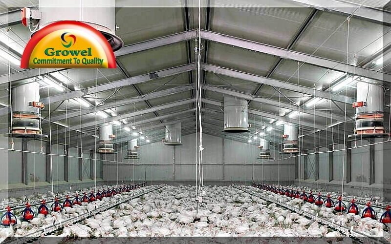 Beginners Guide To Poultry Housing System Growel Agrovet