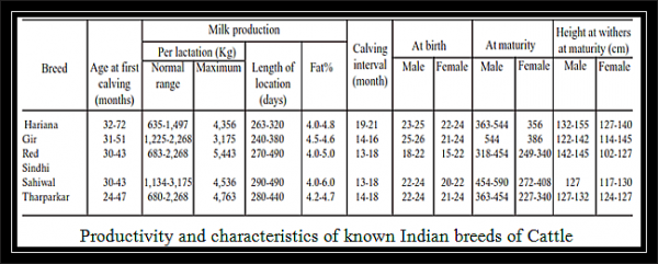 dairy farming business plan in ethiopia pdf