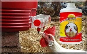 Poultry Water Treatment