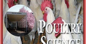 poultry science