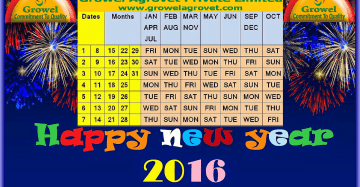 Happy New Year 2016