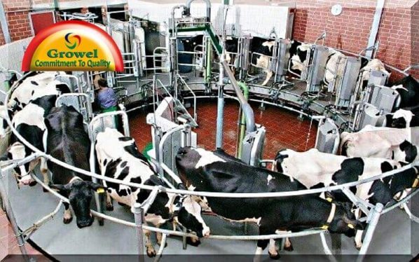 Dairy Farming Business Guide