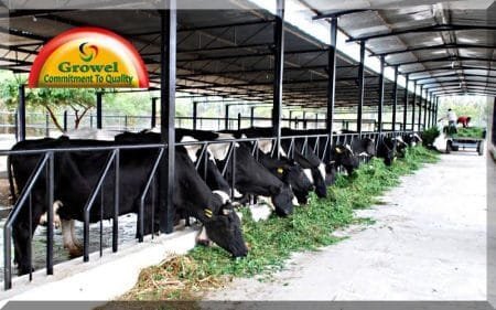 पशु का आवास कैसे बनायें