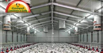Beginers Guide to Poultry Housing System