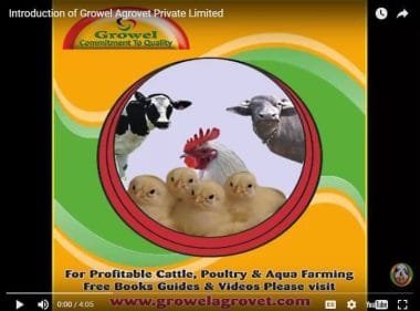 Growel Agrovet Introduction