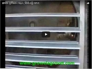 ब्रायलर मुर्गीपालन फिल्म