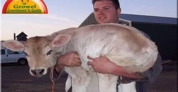 Calf Health Management