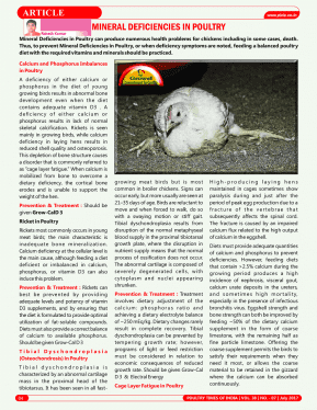 Minerals Deficiencies in Poultry