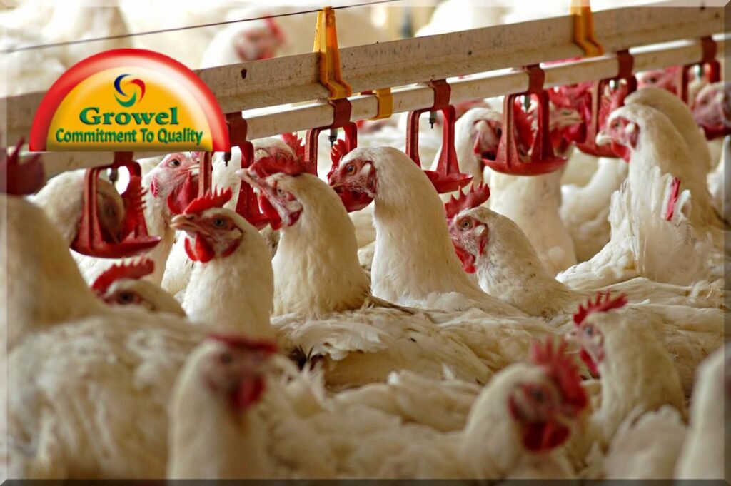 कुक्कुट पालन