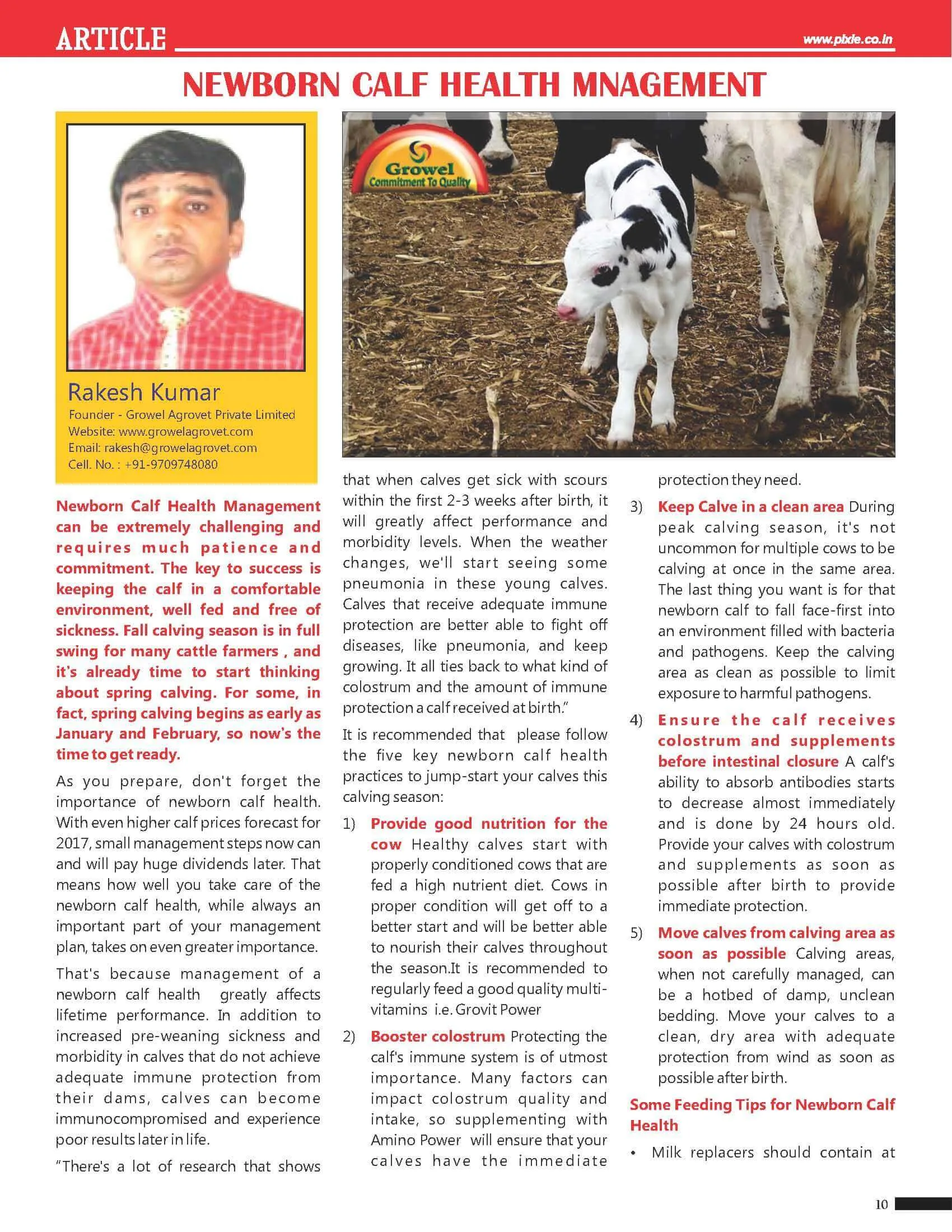 New Born Calf Health Management