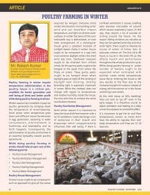 Poultry Farming in Winter