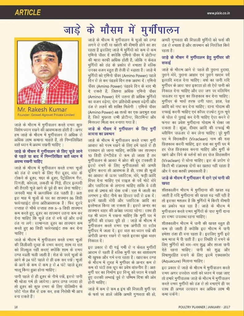 जाड़े-के-मौसम-में-मुर्गीपालन