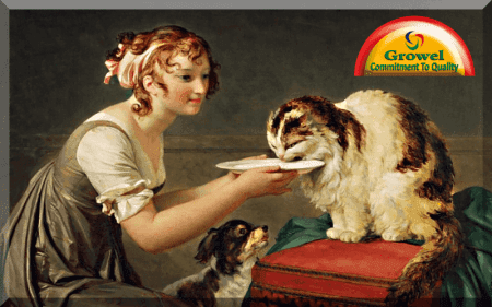 A Brief History of Dog & Cat