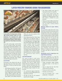 Layer Poultry Farming Guide