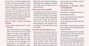 Dairy Farming Business