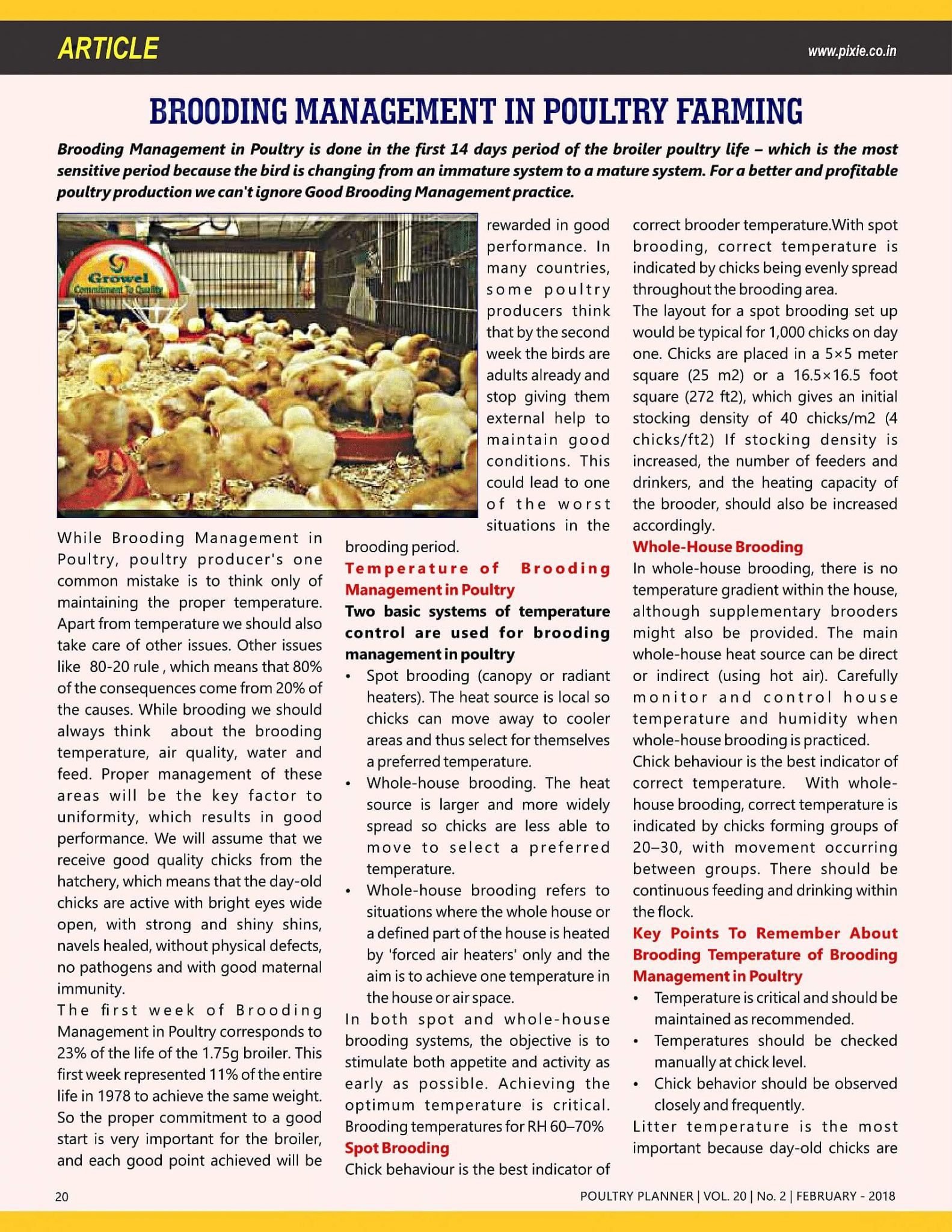 Brooding Management In Poultry Farming Article Published In Poultry Planner Feb Growel