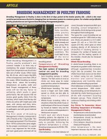 Brooding Management in Poultry