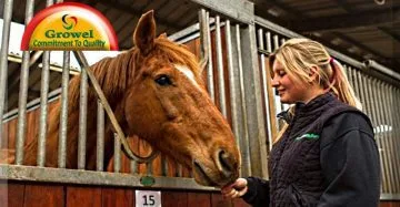 Housing For Horse
