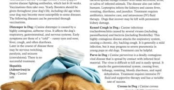 Major & Minor Diseases of Dog