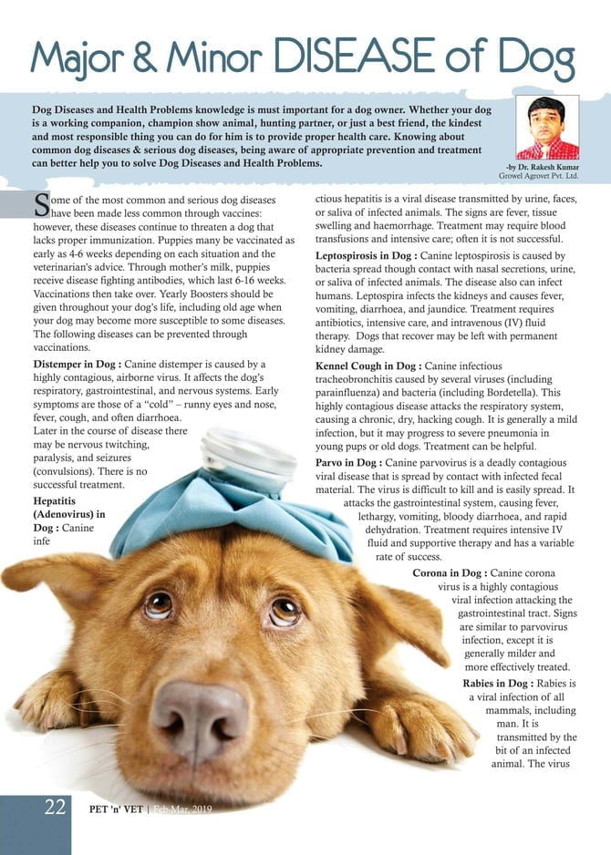 Major & Minor Diseases of Dog Published in Pet ‘n’ Vet Magazine Feb
