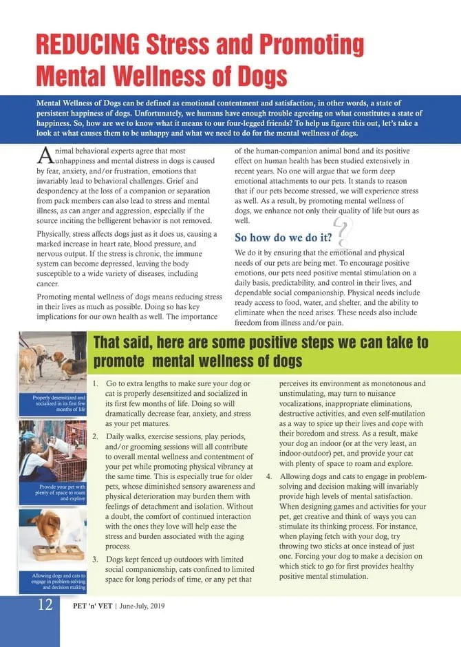 Reducing Stress & Promoting Mental Wellness of Dogs