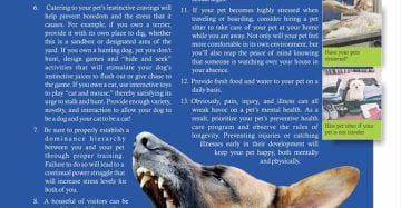 Reducing Stress & Promoting Mental Wellness of Dogs