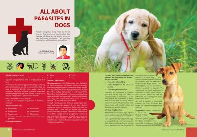 About Parasites in Dogs