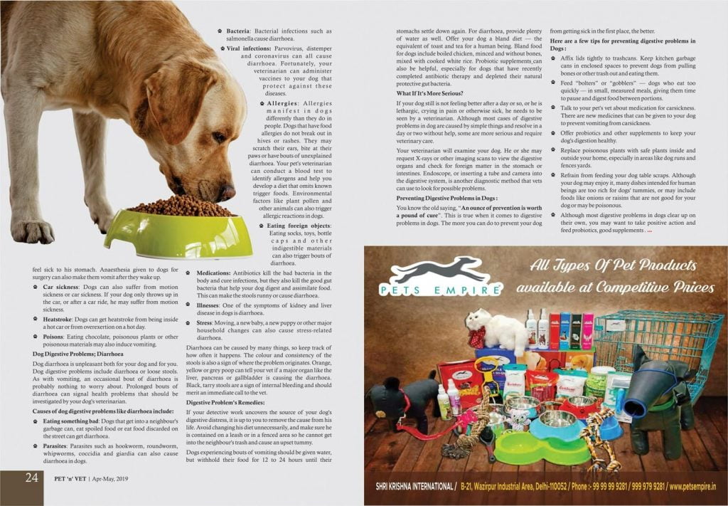 Dog's Digestive System Problems & RemediesPublished in Pet ‘n’ Vet