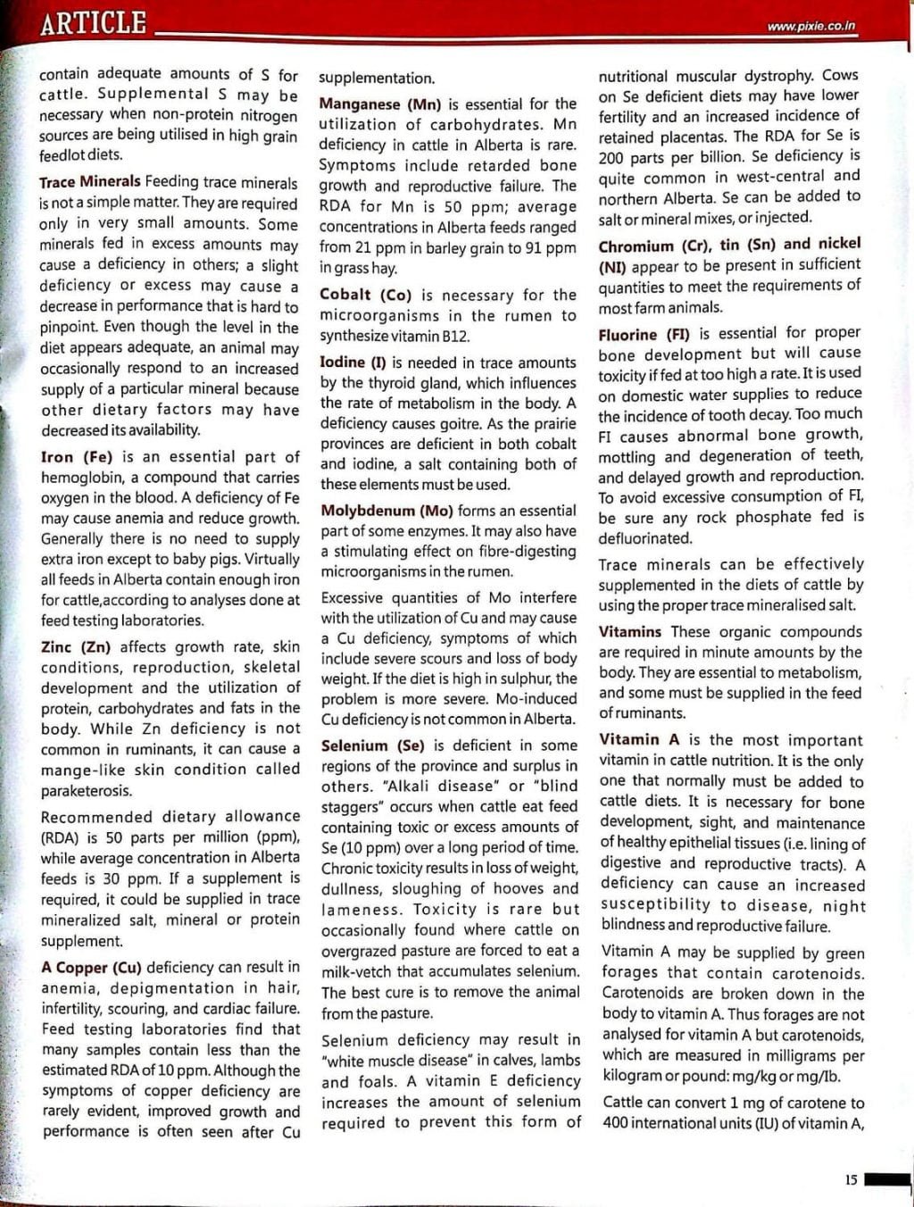 Importance of Vitamins & Minerals for Dairy CattlePublished in Dairy