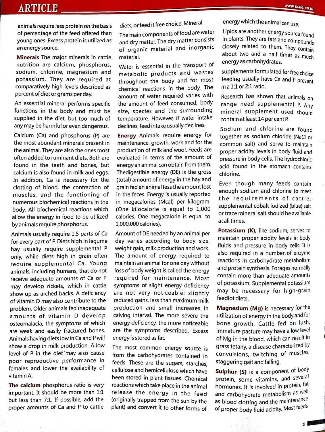 Importance of Vitamins & Minerals for Dairy Cattle