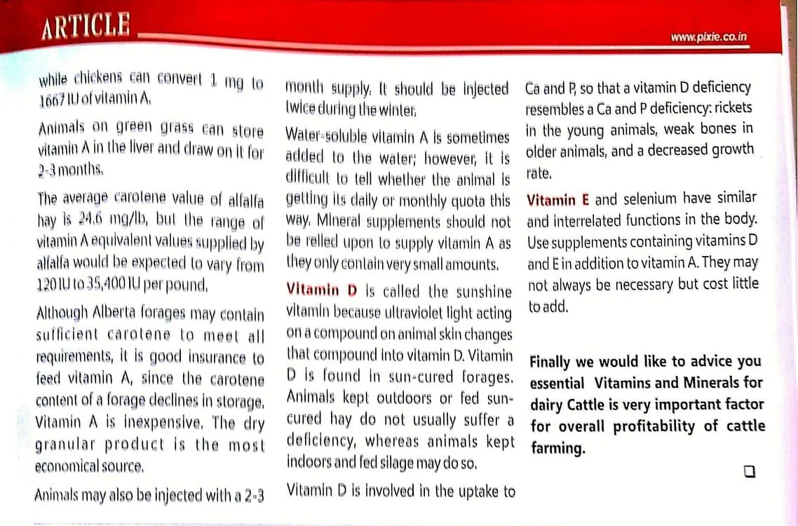 Importance of Vitamins & Minerals for Dairy Cattle