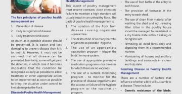 Poultry Health Management Principle & Practice