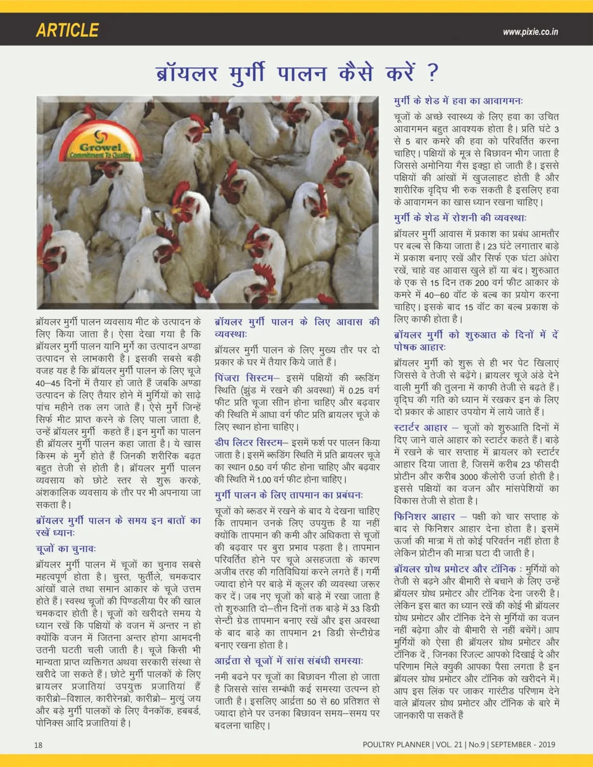 ब्रायलर-मुर्गीपालन-कैसे-करें-1