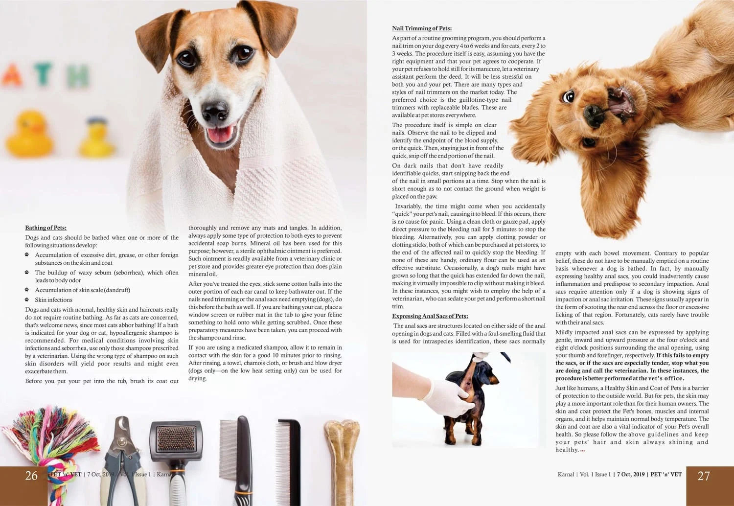 How-To-Keep-Healthy-Skin-Coat-of-Pets-2