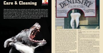 Dog's Dental Care & Cleaning