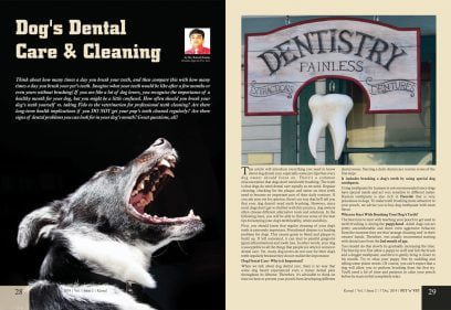 Dog's Dental Care & Cleaning