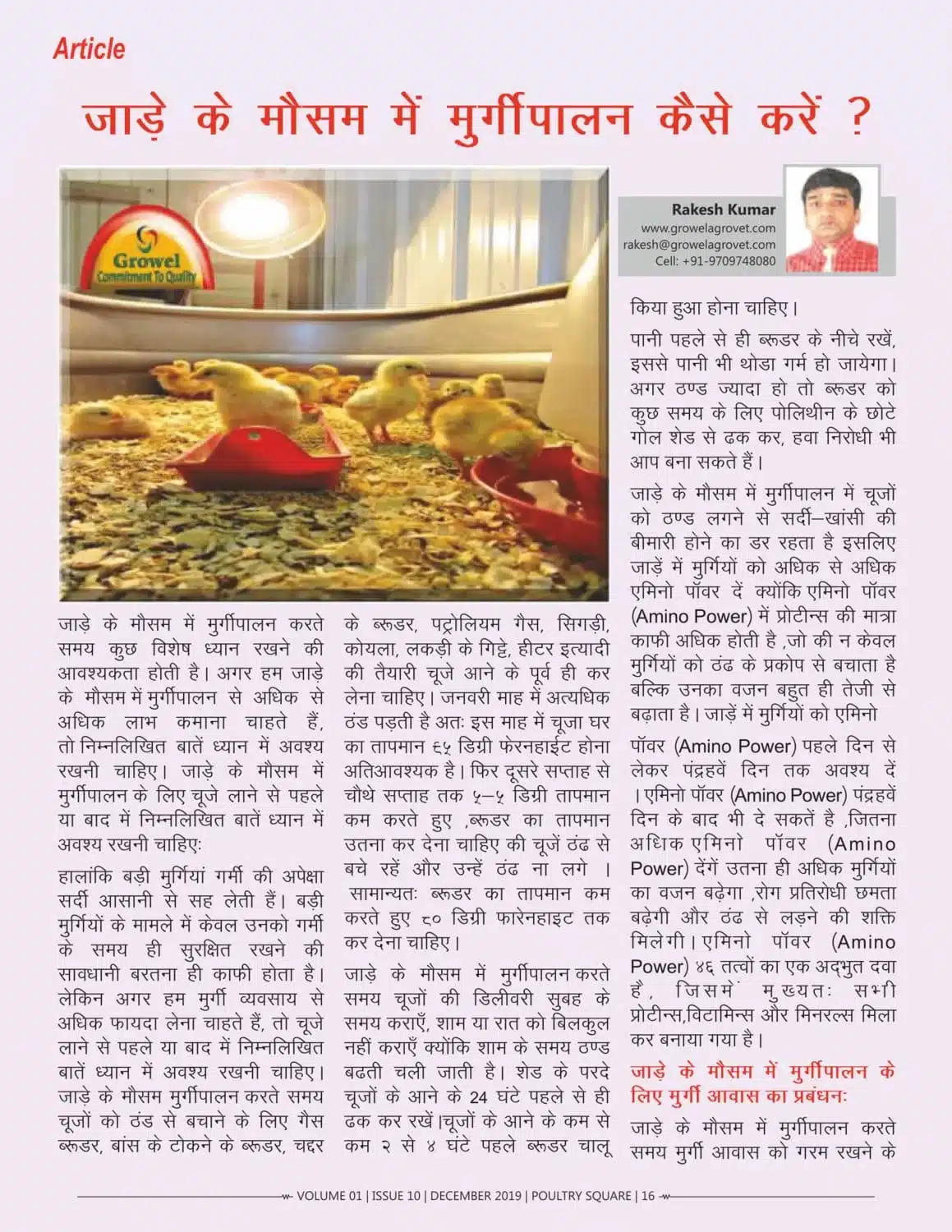 जाड़े-के-मौसम-में-मुर्गीपालन-कैसे-करें