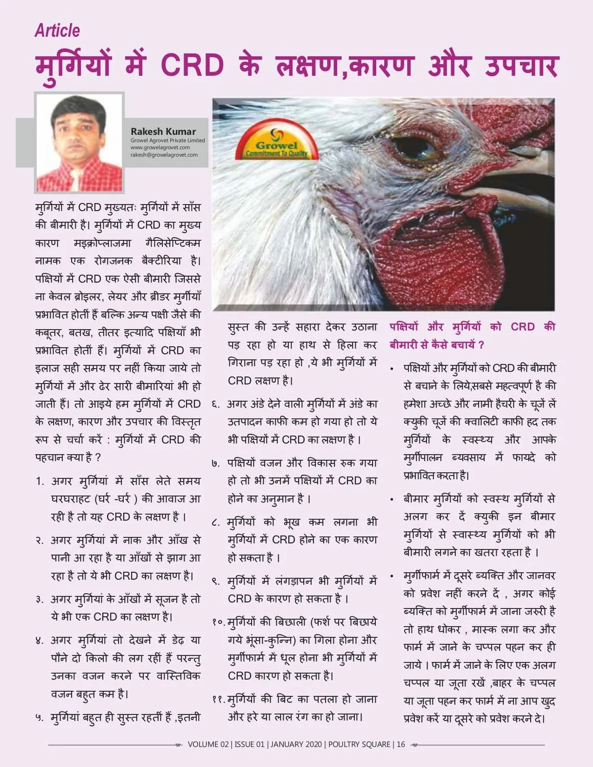 मुर्गियों में CRD के लक्षण,कारण और उपचार