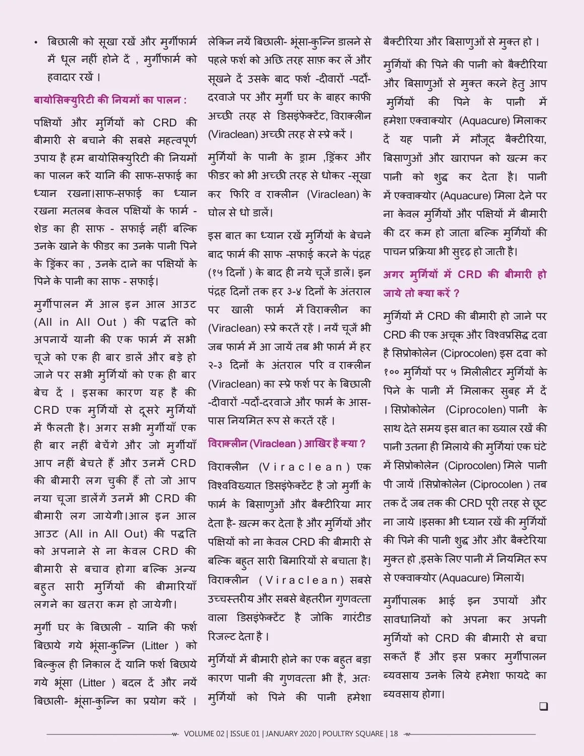 मुर्गियों में CRD के लक्षण,कारण और उपचार