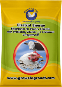 Electoral powder for poultry, Electoral for animal