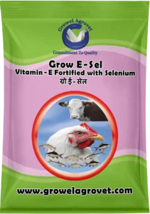 Vitamin -E Fortified with Selenium for Poultry & Cattle