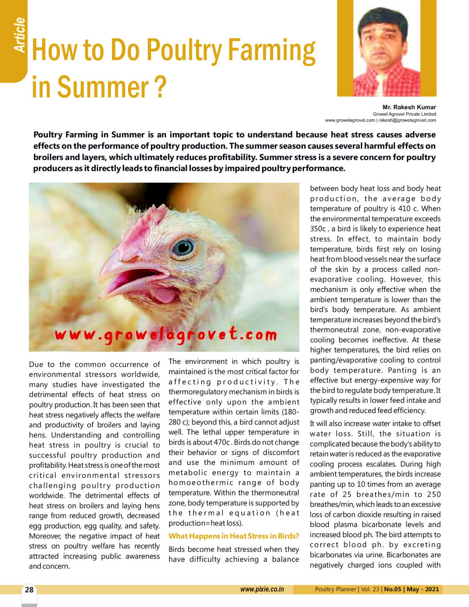 “Poultry Farming in Summer “article