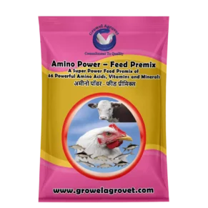 Amino Power- Feed Premix: A Super Power Feed Premix With 46 Amino Acids, Vitamins And Minerals For Aquacultures, Animals And Poultry.