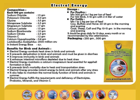 Electral Energy – Electrolytes With Vitamins, Minerals & Probiotics Birds And Animals.