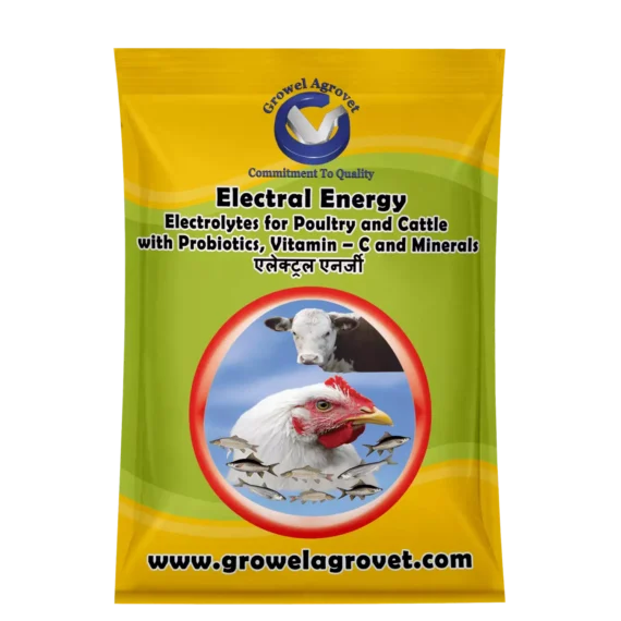 Electral Energy – Electrolytes With Vitamins, Minerals & Probiotics Birds And Animals.