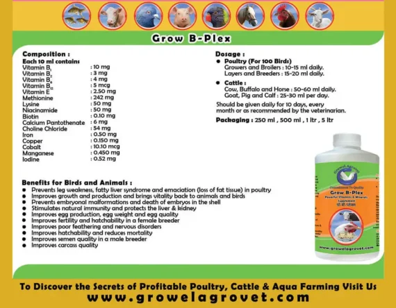 Vitamins, Amino Acids And Minerals For Poultry,Cattle,Horse,Goat,Sheep,Pig,Cow Birds And Pigeons