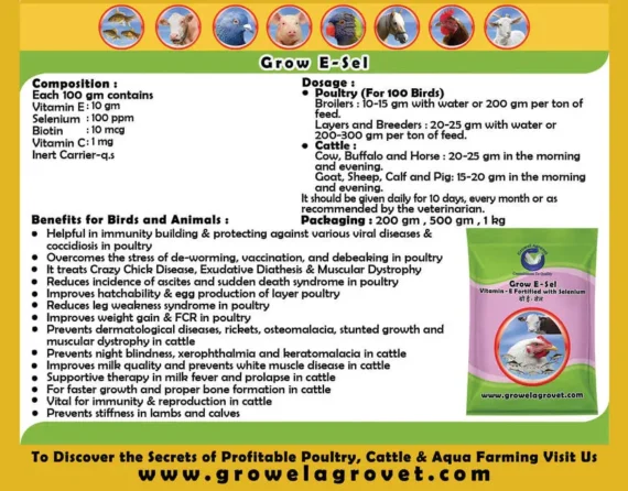 Grow E-Sel – Vitamin – E With Selenium, Biotin, And Vitamin – C For Birds And Animals.