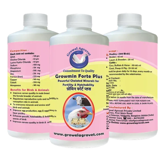 Growmin Forte Plus is a chelated mineral supplement for the hatchability and fertility of birds and animals.