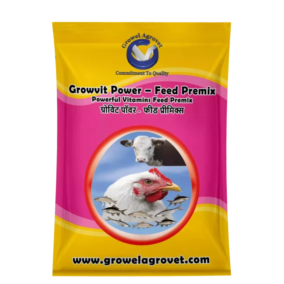 Growvit Power - Feed Premix: Powerful Vitamins Feed Premix for Poultry and Animals.