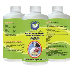 Growel Respiratory Herbs veterinary medicine for CRD, E. coli, cough, and cold in poultry, cattle, pigs, goats, sheep, birds, and pigeons